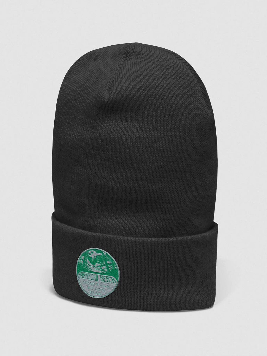 More Than We Can Bear beenie product image (11)