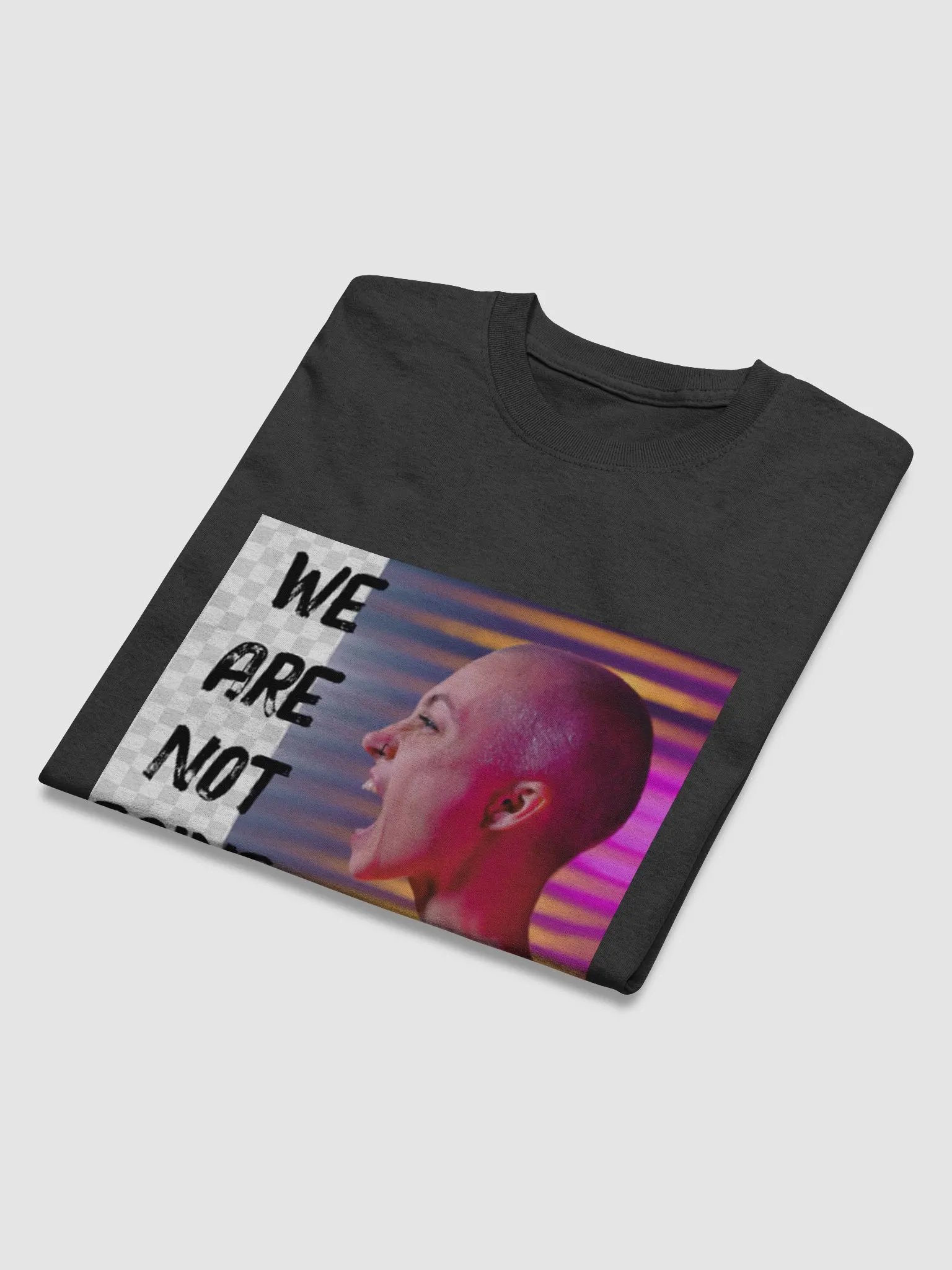 We Are Not Going Back product image (48)