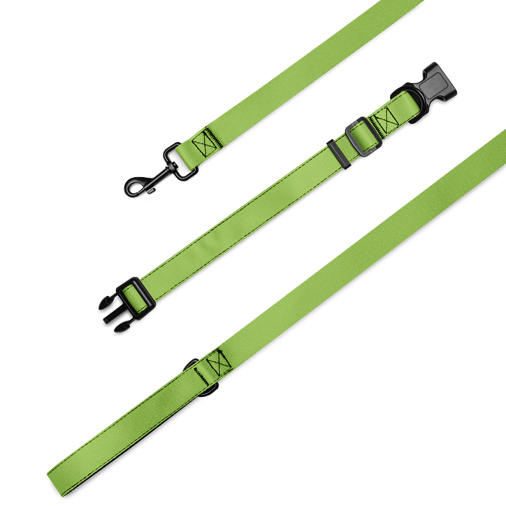 Swamp Chomps Collar & Leash Set - Green product image (2)