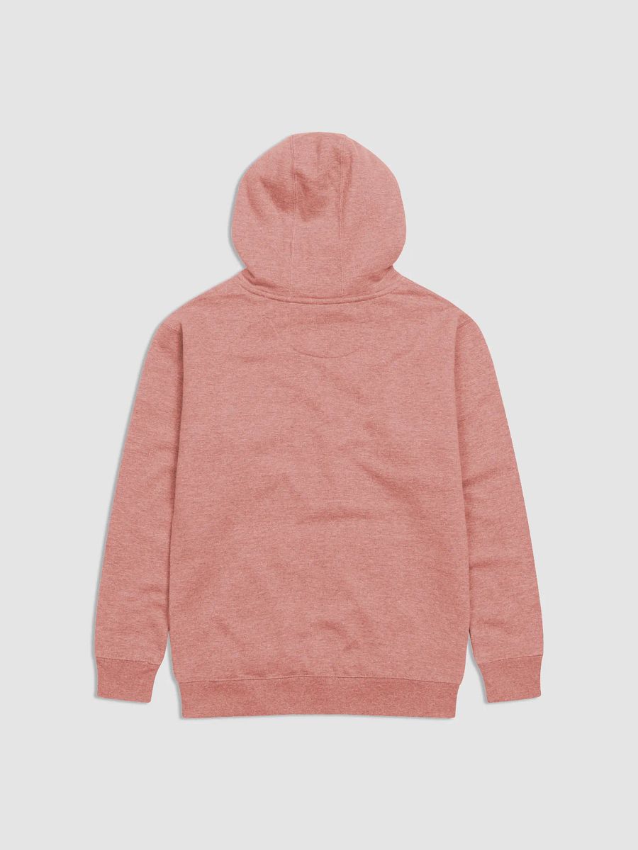 Pray Always Pray Premium Unisex Hoodie product image (9)