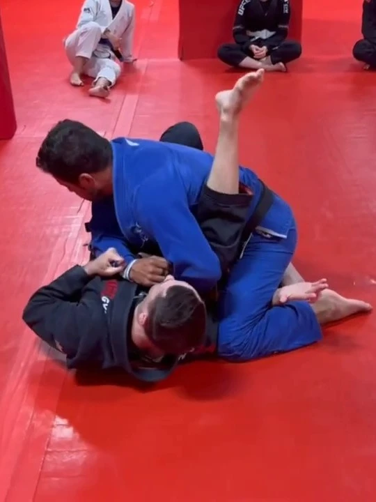 My Favorite High Percentage-Low Risk Closed Guard Attacks (8 Vids!) product image (1)