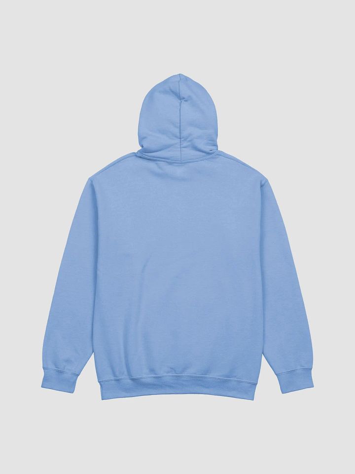 FulishFuji logo hoodie product image (2)