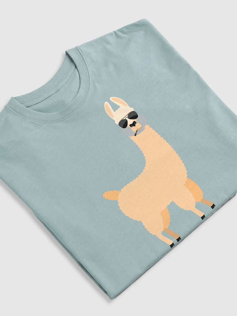 Rigorous Research? No Prob-Llama! (Men's) product image (26)
