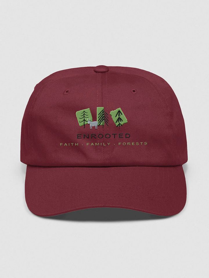 Enrooted: Faith, Family, Forests Hat product image (3)