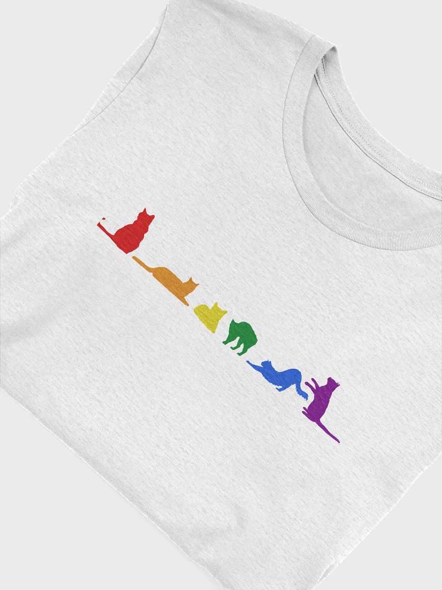 Rainbow Pride Cats Women's Shirt product image (46)