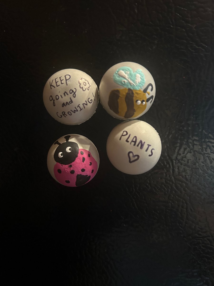 Set of 4 handpainted/written magnets product image (2)
