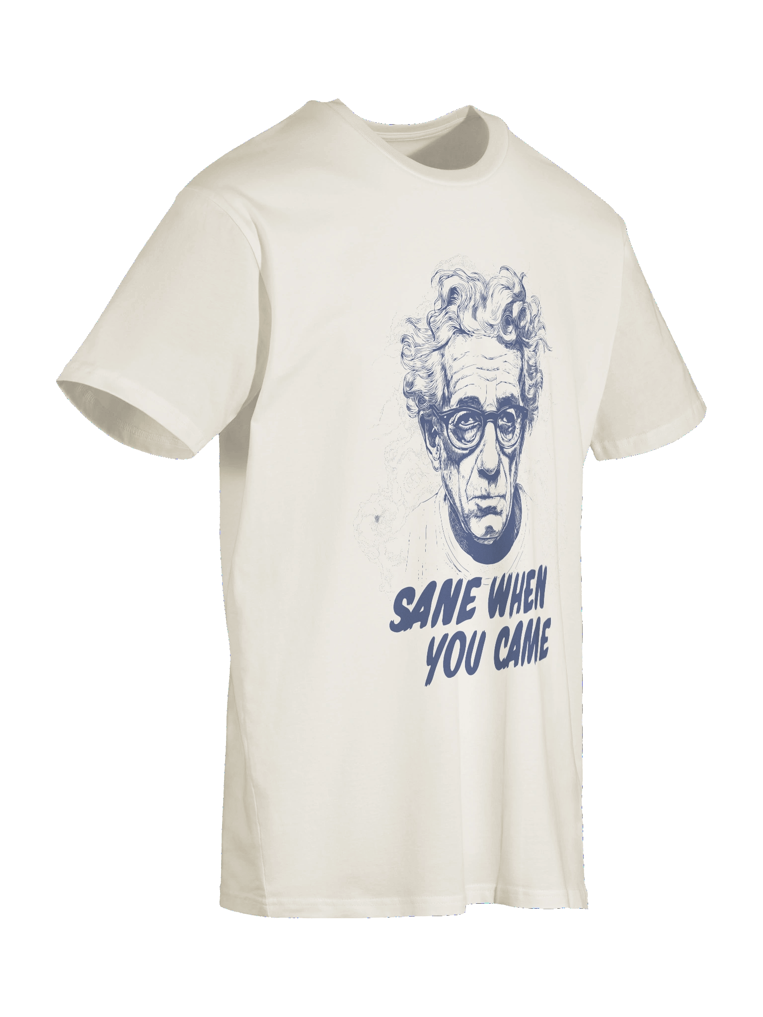 Sane When You Came Tee product image (11)