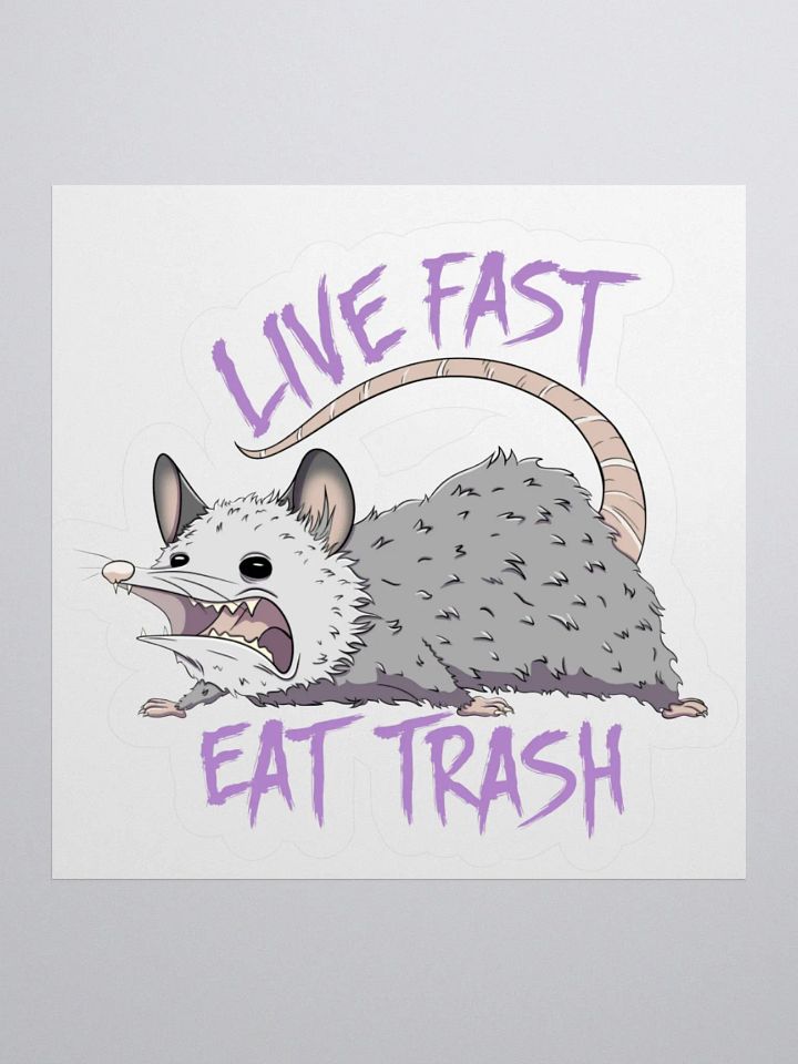 Live Fast Eat Trash Sticker product image (1)