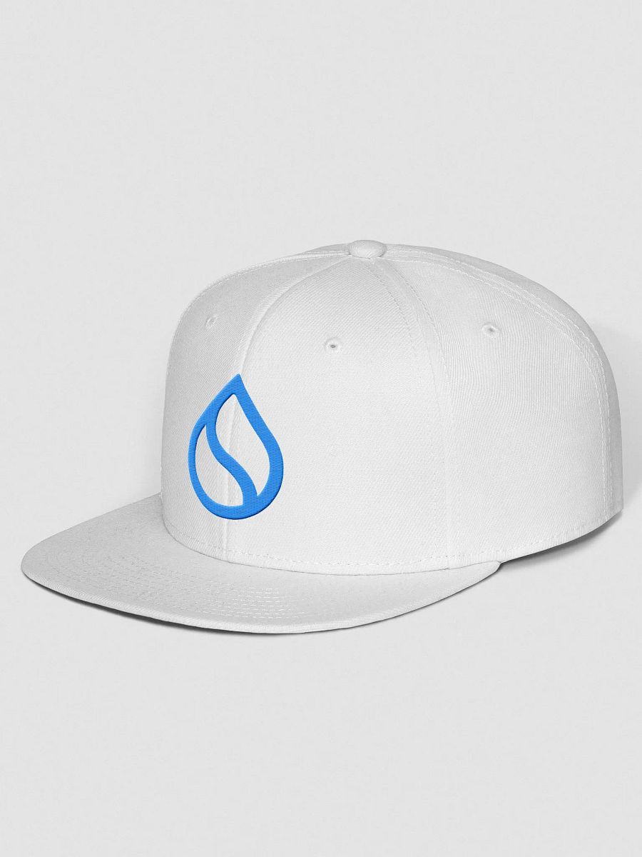 Snap back product image (4)