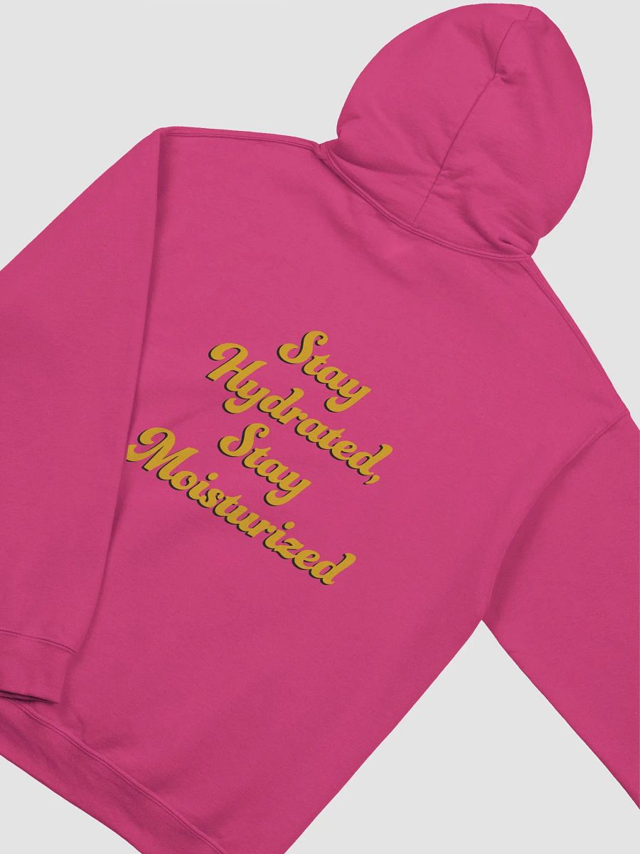 Article 6 - Health (Light) Hoodie product image (4)