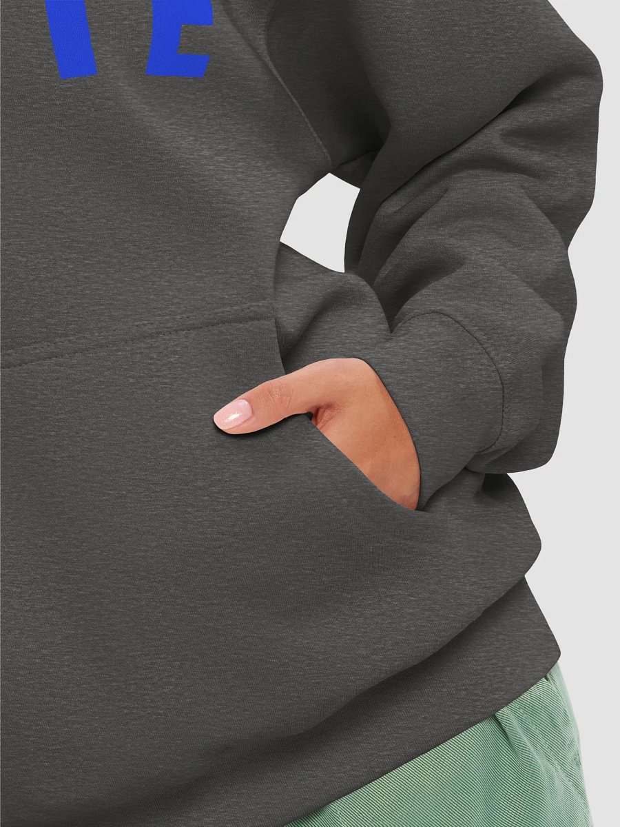 Register Show Up Vote Hoodie 2024 USA Election Voter Gift product image (6)