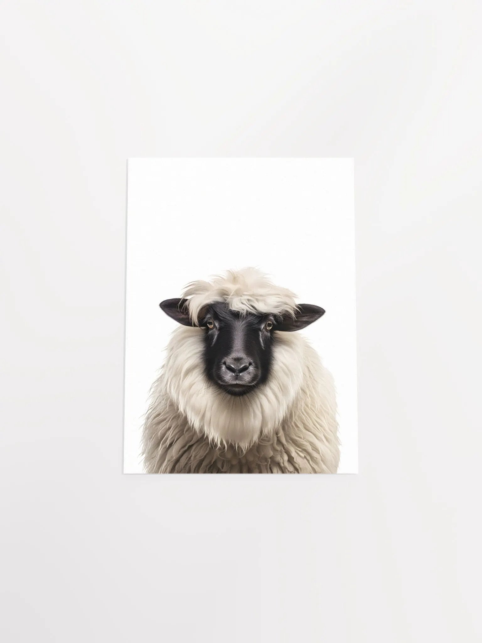 Cute Fluffy Sheep product image (6)