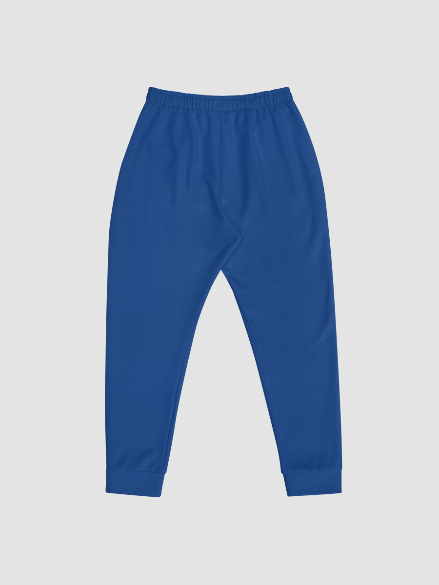 Project Winter Men's Joggers (Blue) product image (4)
