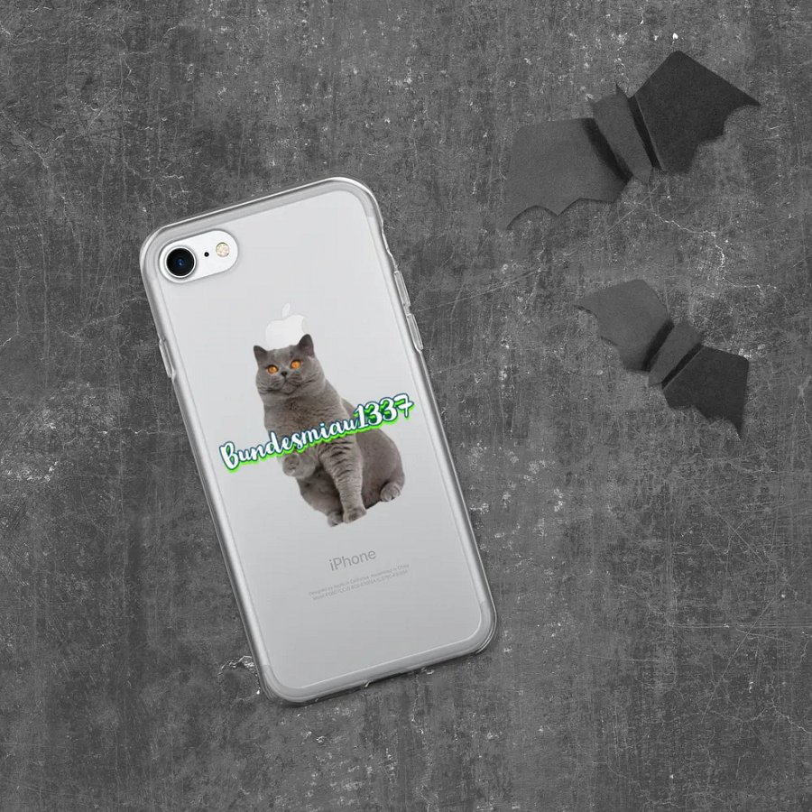 Fan Hülle iPhone durchsichtig product image (332)