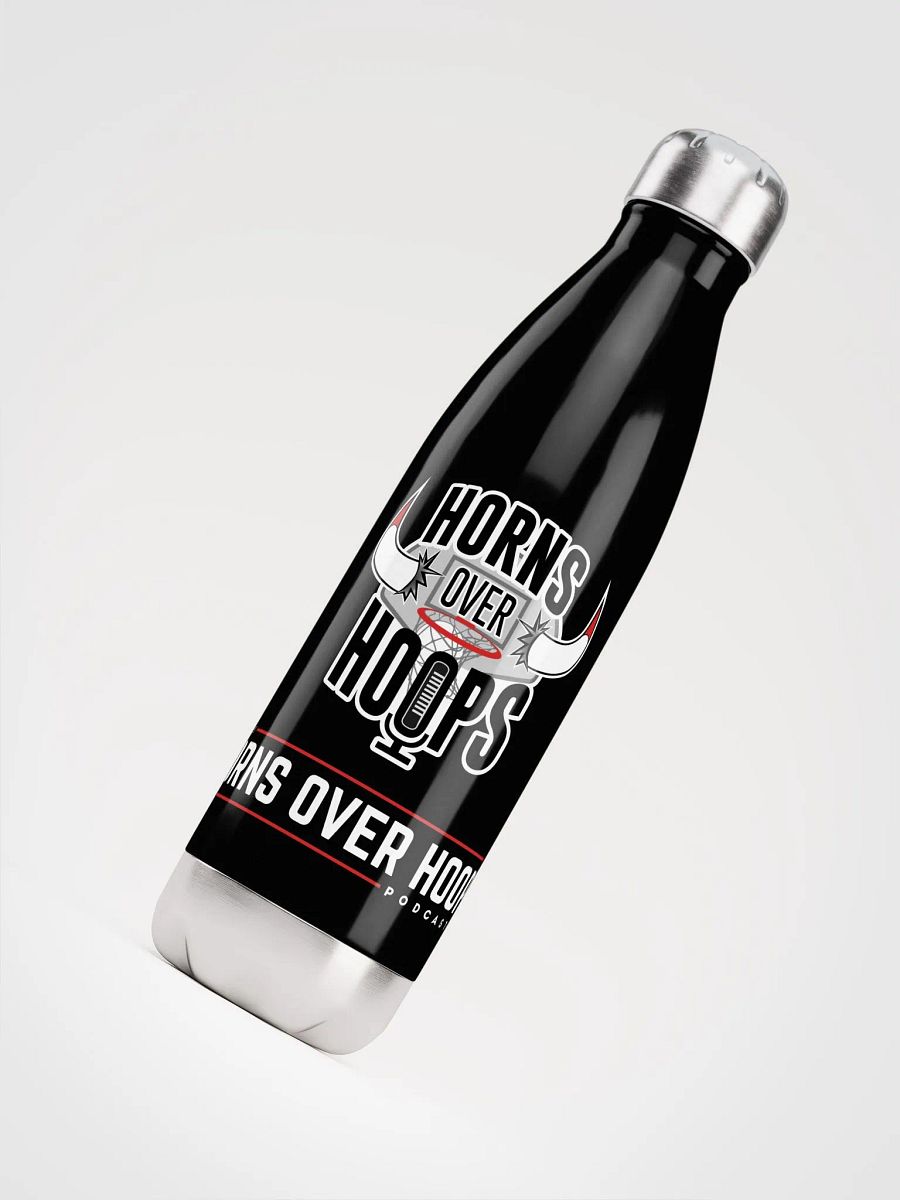 Stainless Steel Bottle product image (4)