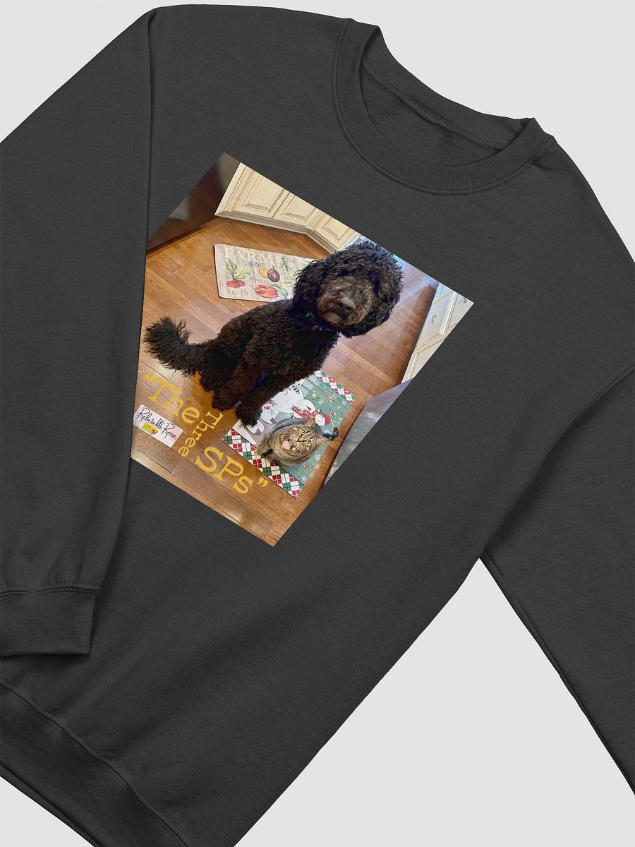 The 3 SPs Sweatshirt product image (35)