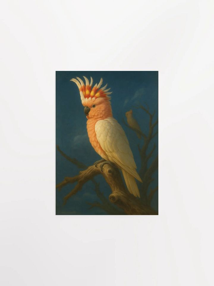Pink Cockatoo product image (1)