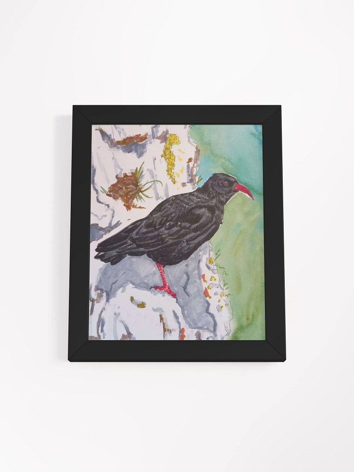 Corvid Series [04] Chough framed print product image (1)