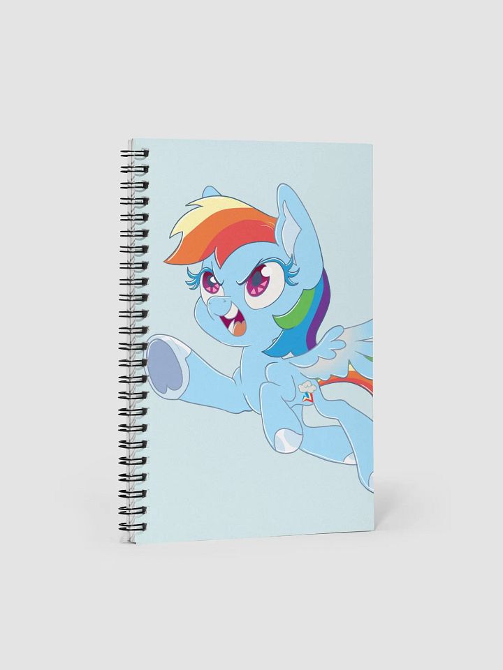 Rainbow Dash Spiral Notebook product image (1)
