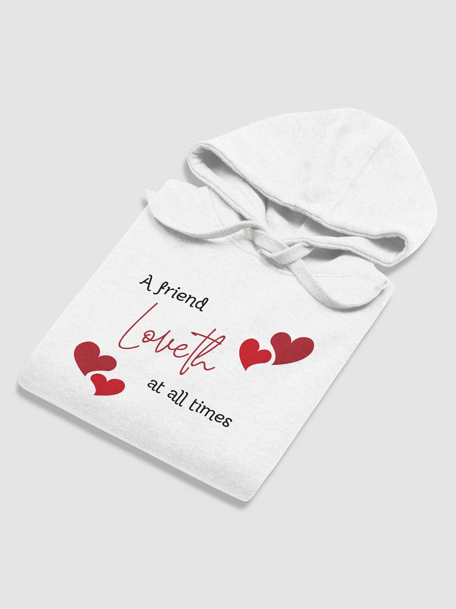A Friend Loveth at All Times Unisex Hoodie product image (4)