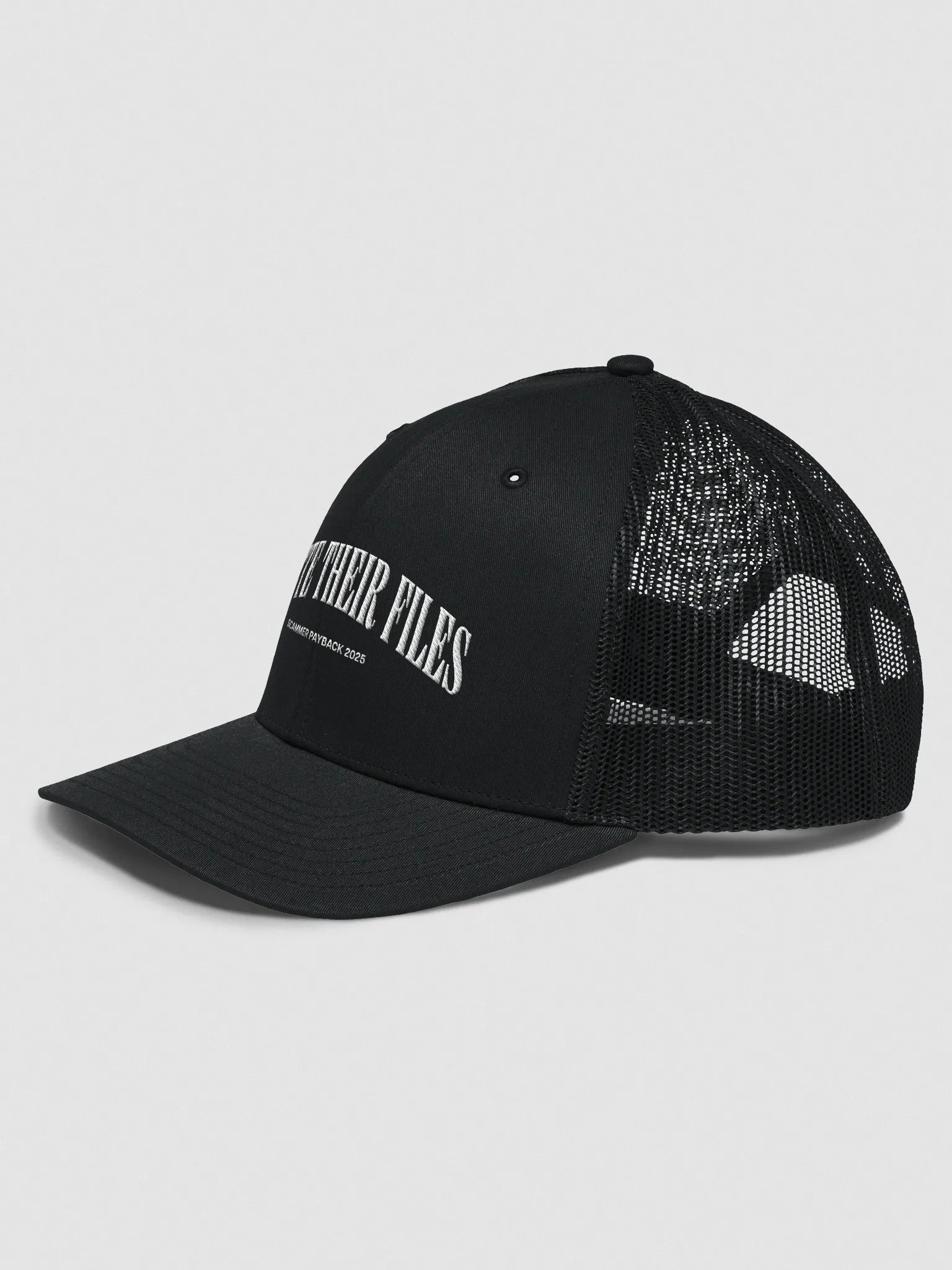 Delete Their Files Hat product image (2)