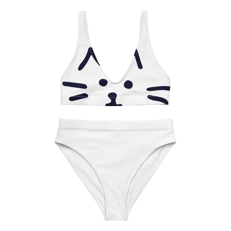 All-Over Print Recycled High Waisted Bikini product image (3)
