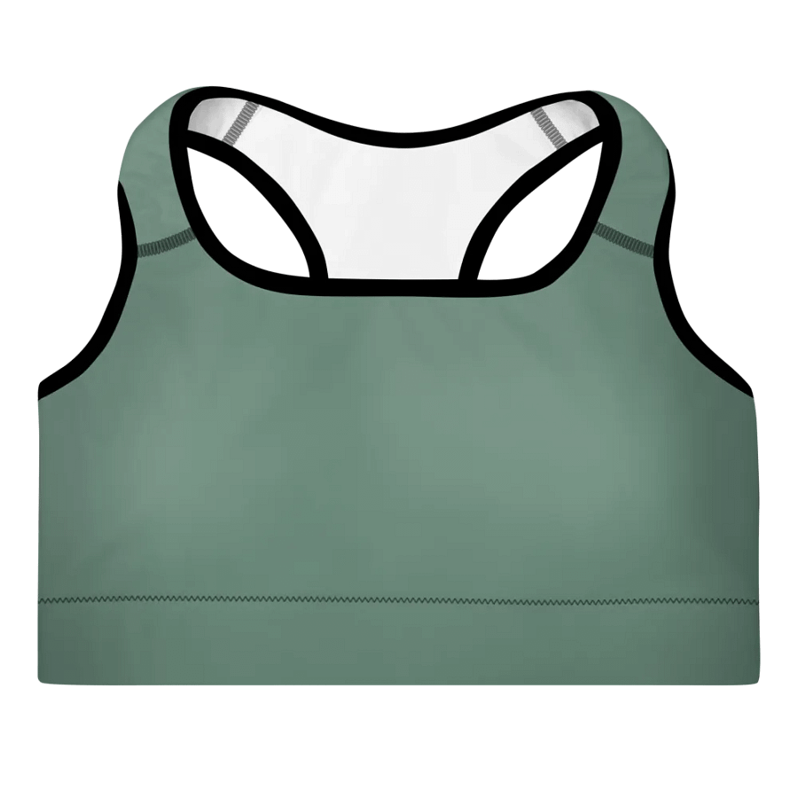Elevate Your Workout Style with the IBVL X JV Padded Sports Bra product image (1)