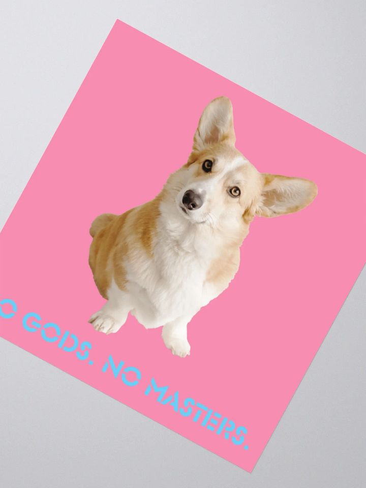 No Gods No Masters - Pink Sticker product image (5)