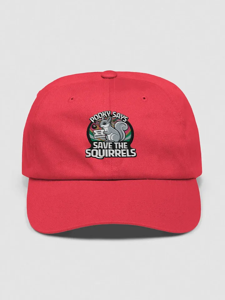 Baseball Hat: Pooky Says Save the squirrels, retro, colorful, circular with white font product image (1)