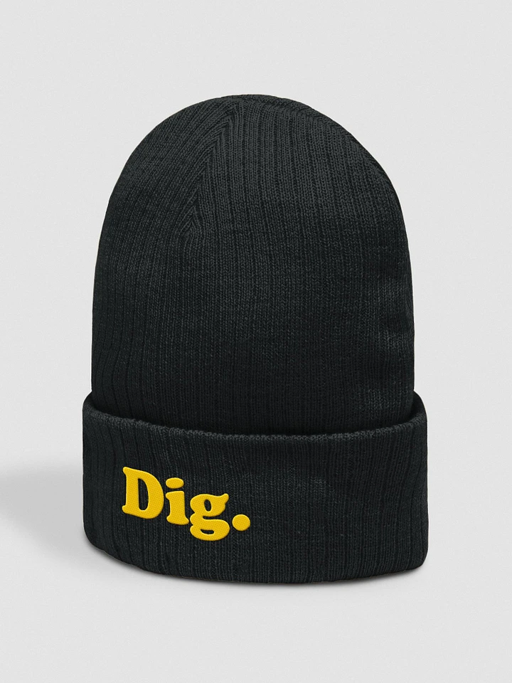 Dig. Beanie: Black product image (2)