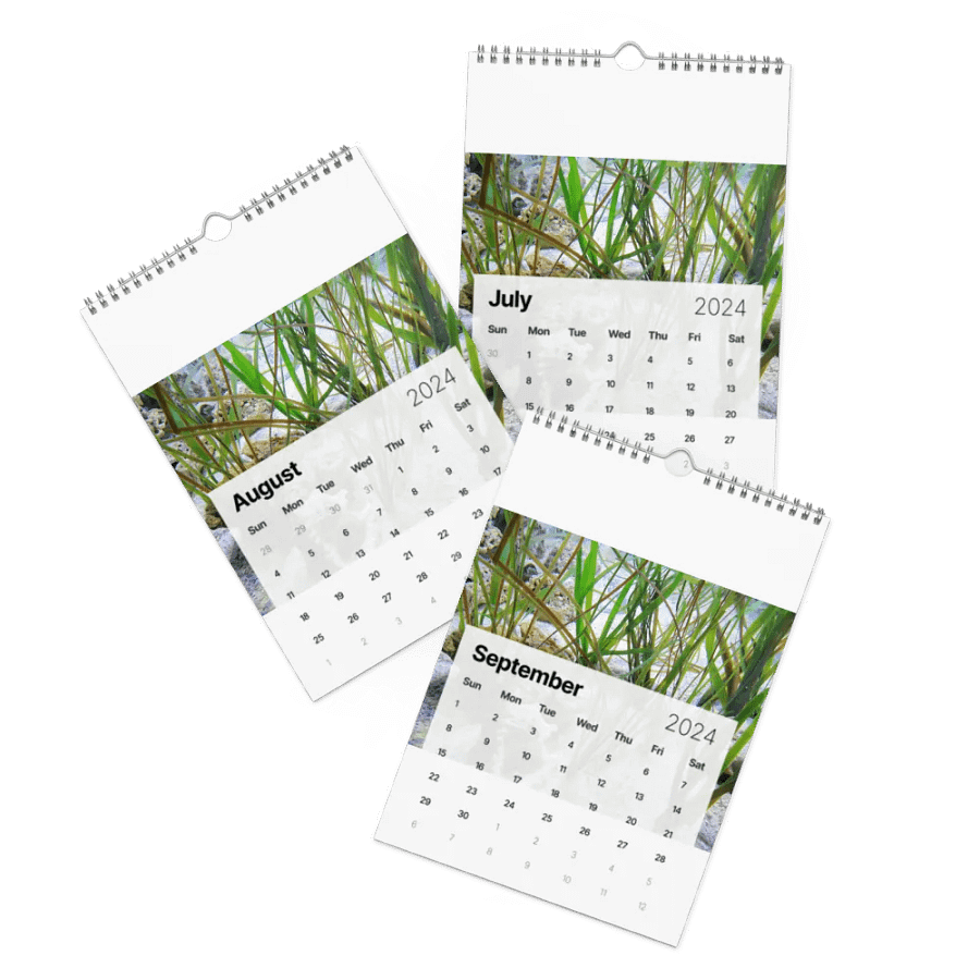 new years product image (20)