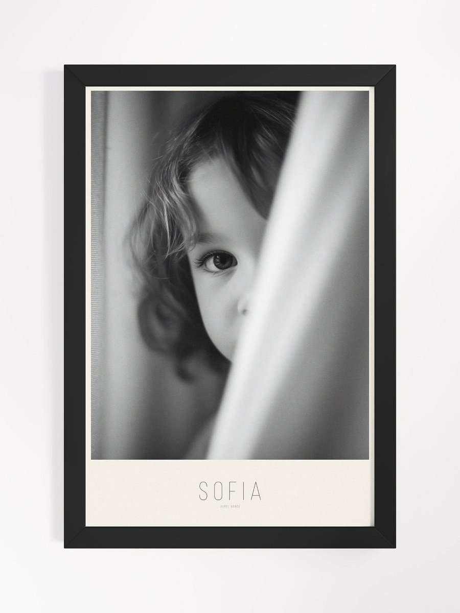 SOFIA product image (2)