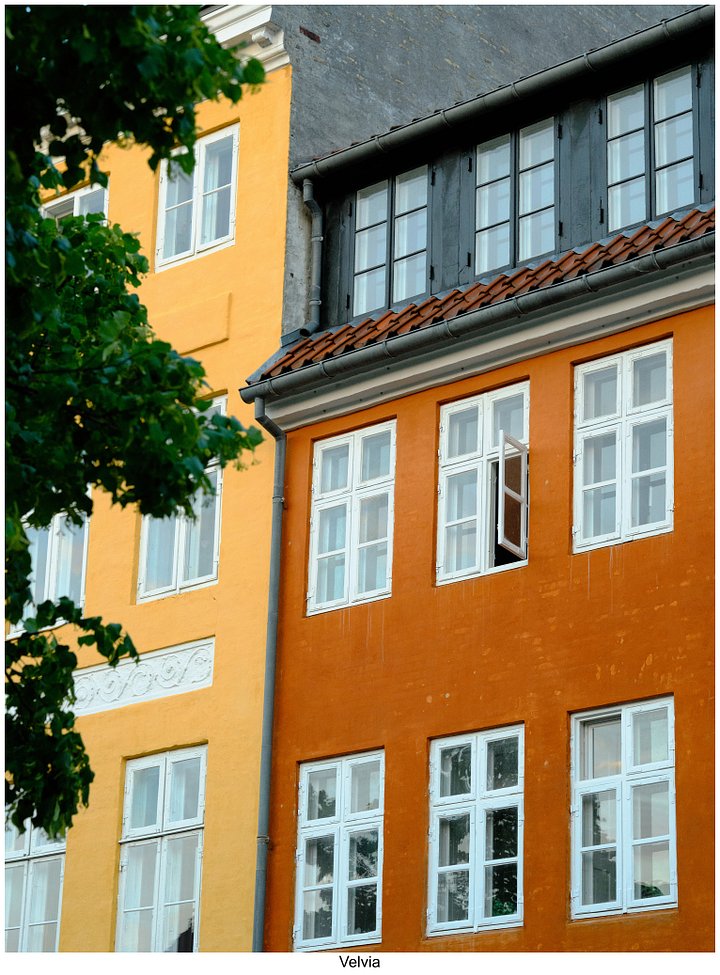 Fujify [Nikon] Lightroom Profile - Velvia product image (2)