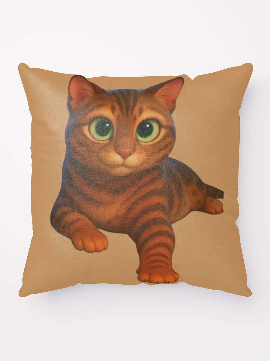 Dior'sCat - Basic Pillow product image (5)