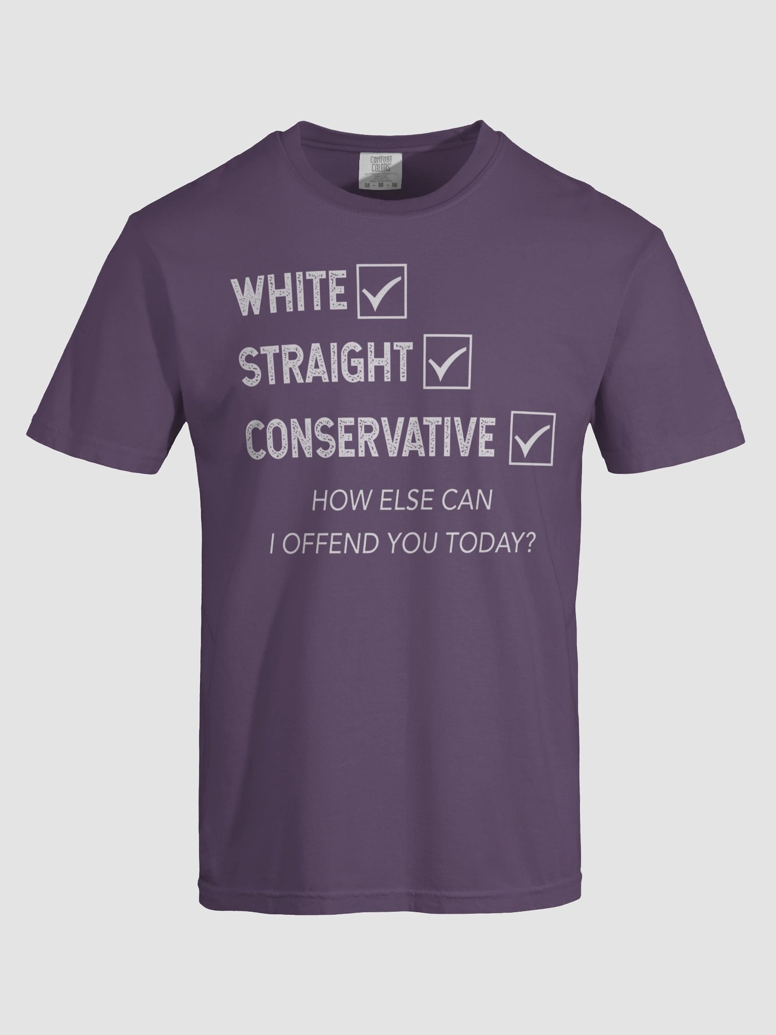 White Straight Conservative How Else Can I Offend You Today Shirt product image (7)