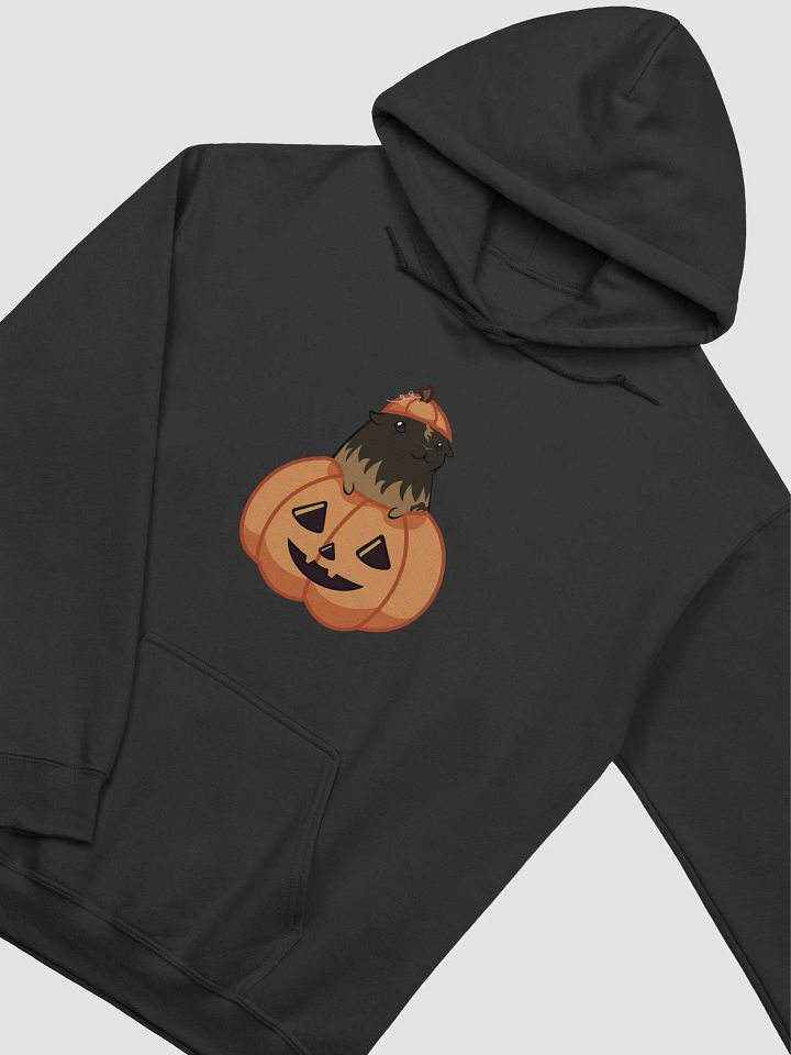 Peanut Pumpkin Hoodie product image (2)