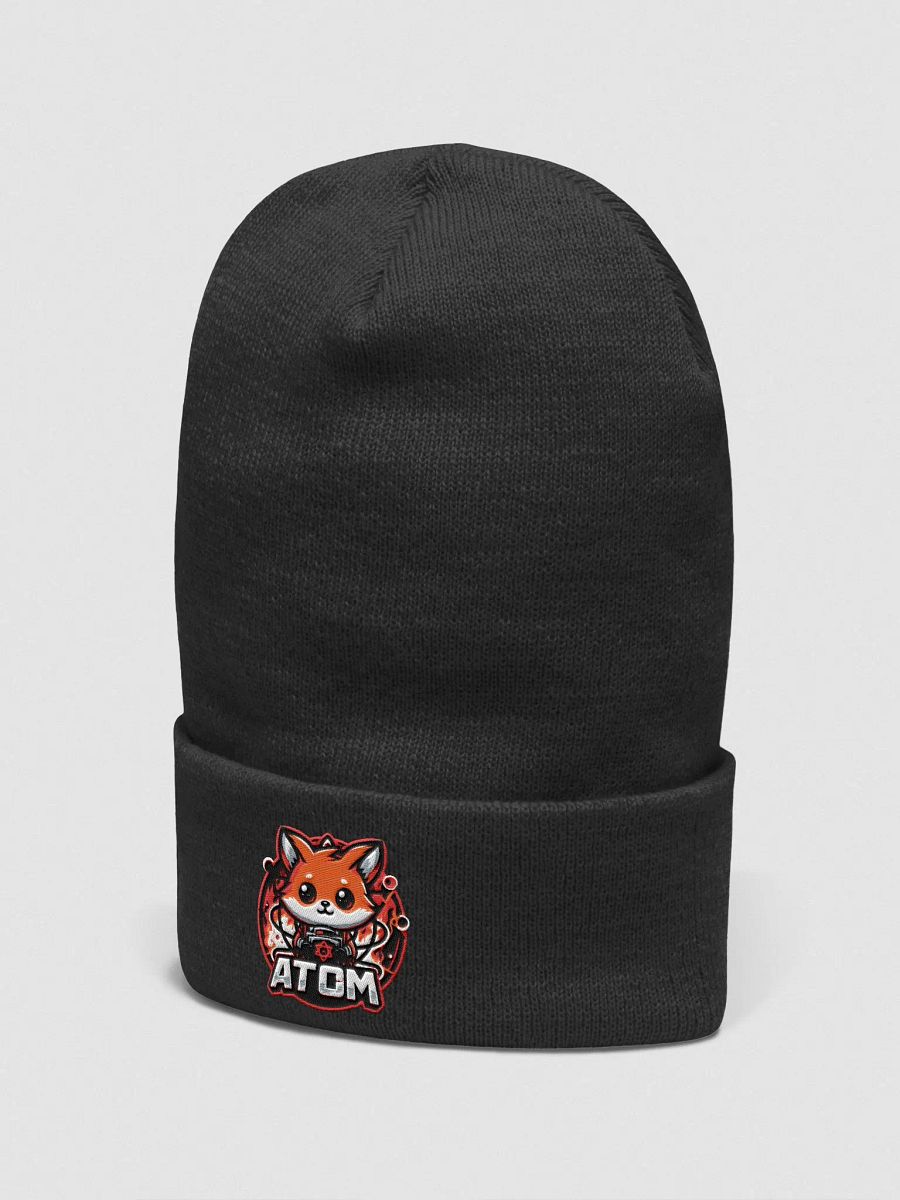 Beanie product image (2)