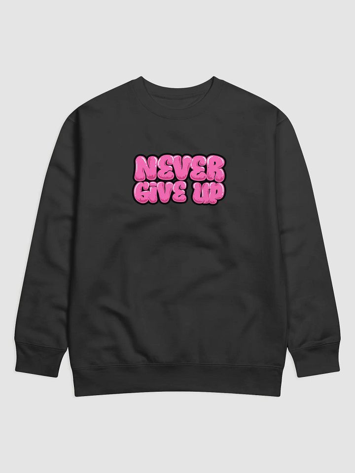 Never Give Up Sweater💙 product image (1)
