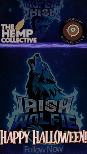 Happy (slightly late!) Halloween Everyone! Please be safe & HAVE FUN! 

 #Halloween #galway #galwaycity #halloween2025 #Irela...