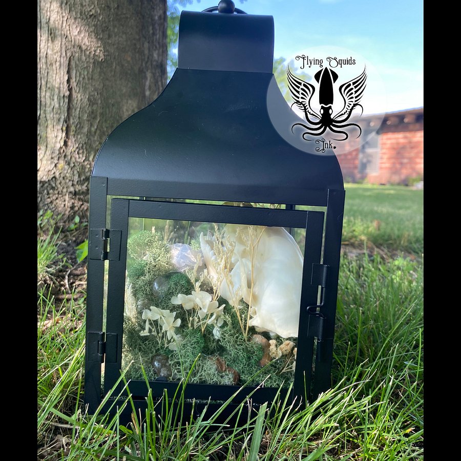 Raccoon Skull Enclosure product image (4)