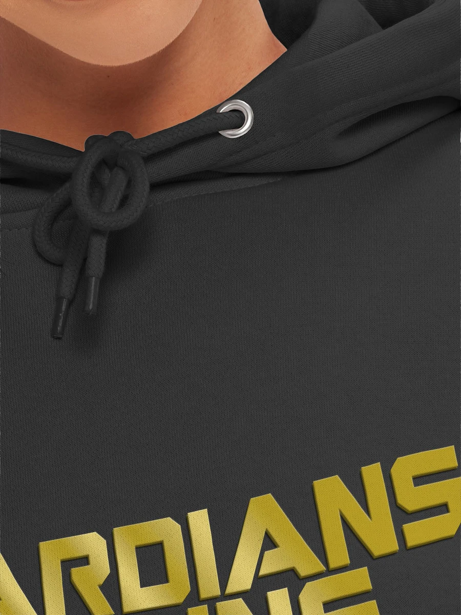 Guardians of the Gains Hoodie product image (25)