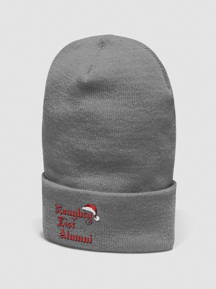 "Naughty List Alumni" Bennie Hat product image (8)