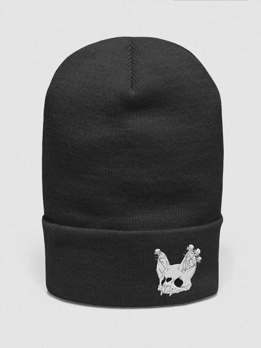 Bat Skull Beanie product image (1)