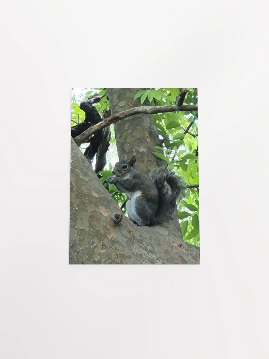 Squirrel FL product image (44)