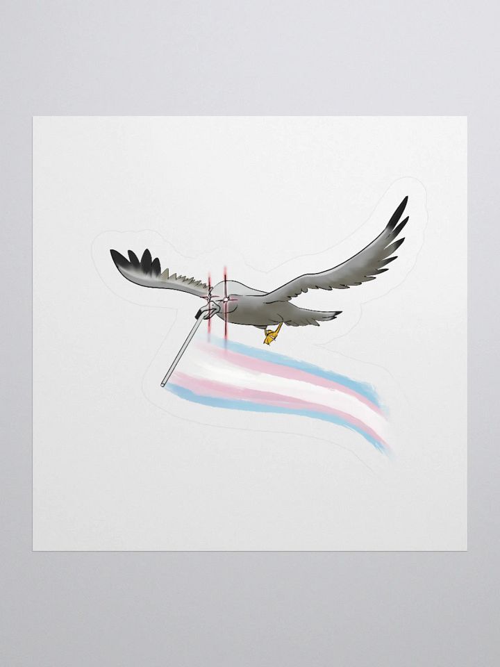 Valentina says trans rights product image (1)