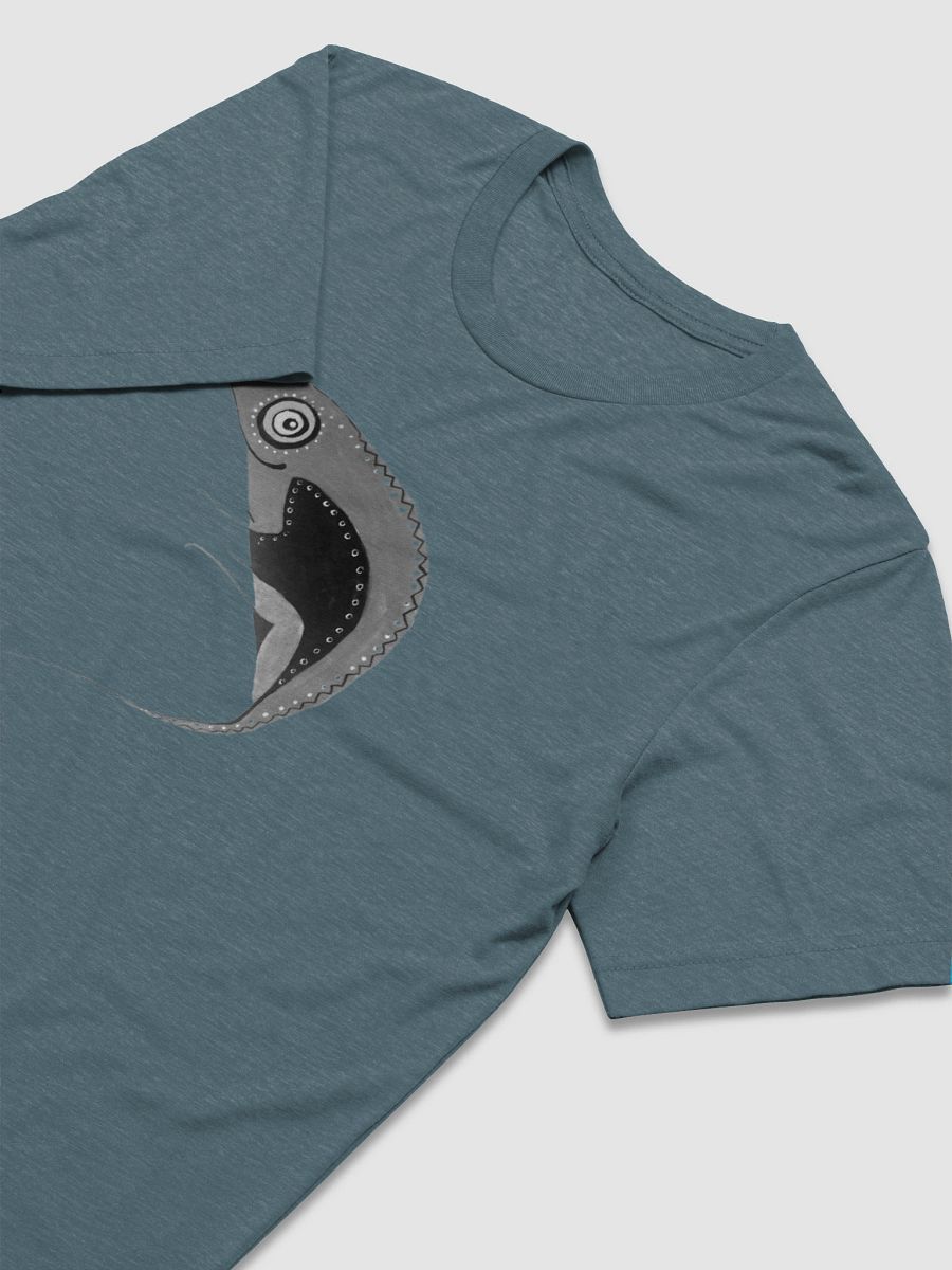 Chameleon Dreams - Tri-Blend Tee product image (26)