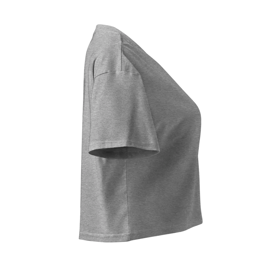 Conducive Cropped Tee (Embroidered) product image (4)