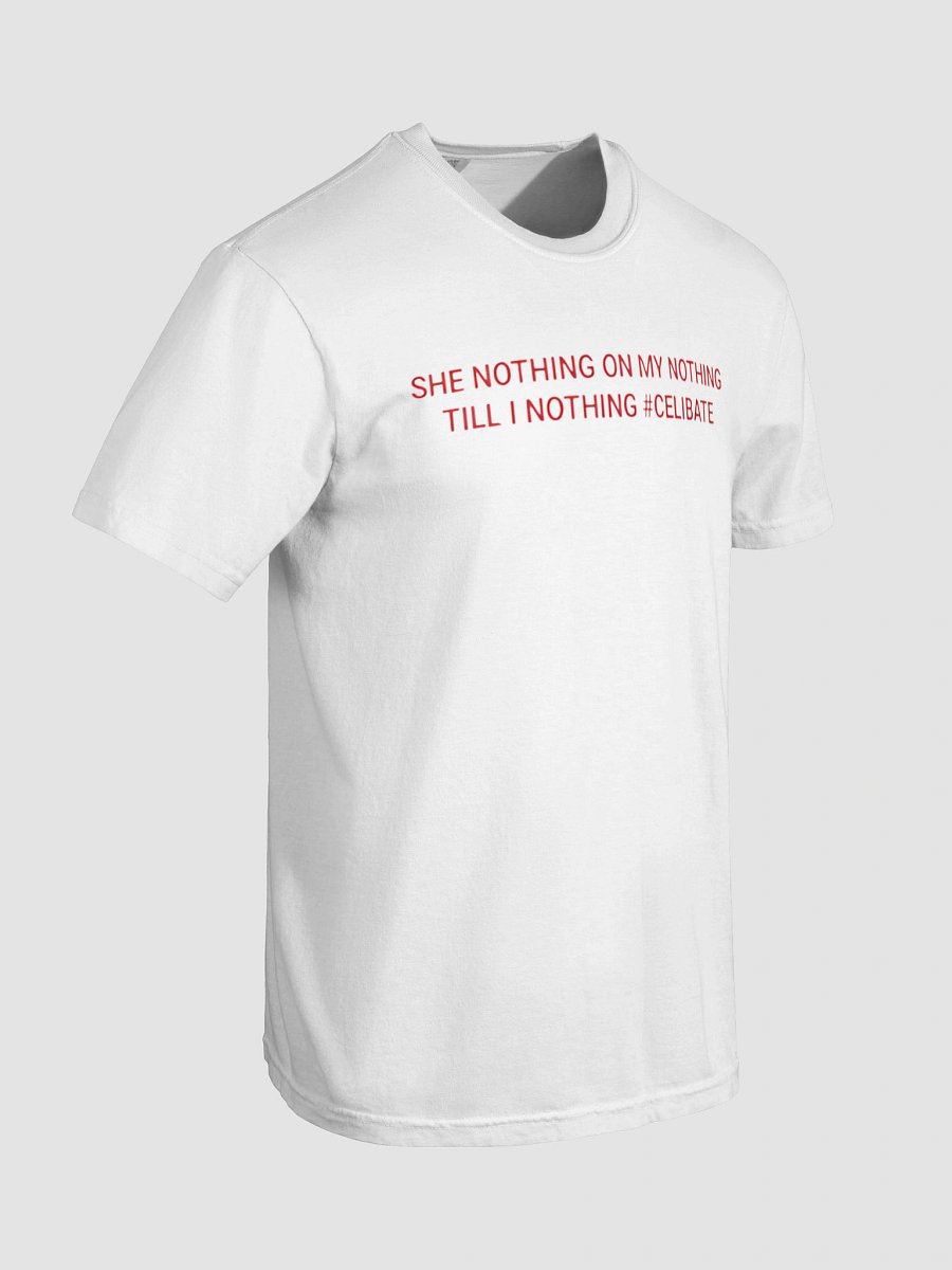SHE NOTHING ON MY NOTHING TILL I NOTHING #CELIBATE SHIRT product image (8)