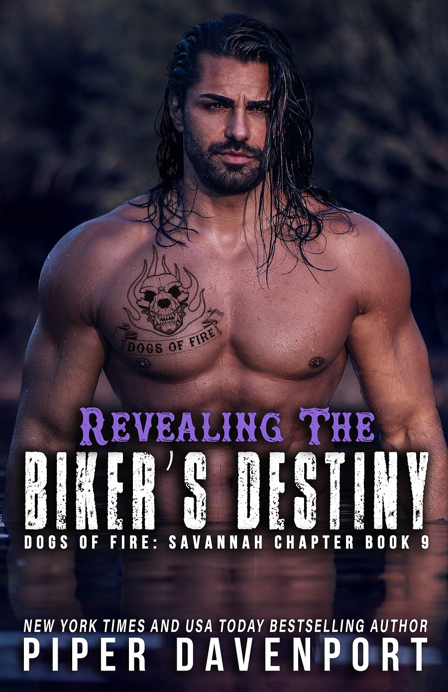 Revealing the Biker's Destiny - Dogs of Fire, Savannah, Book #9 - eBook product image (1)