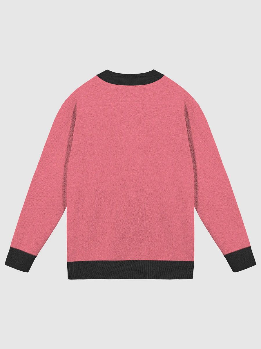 CS Sweater product image (2)